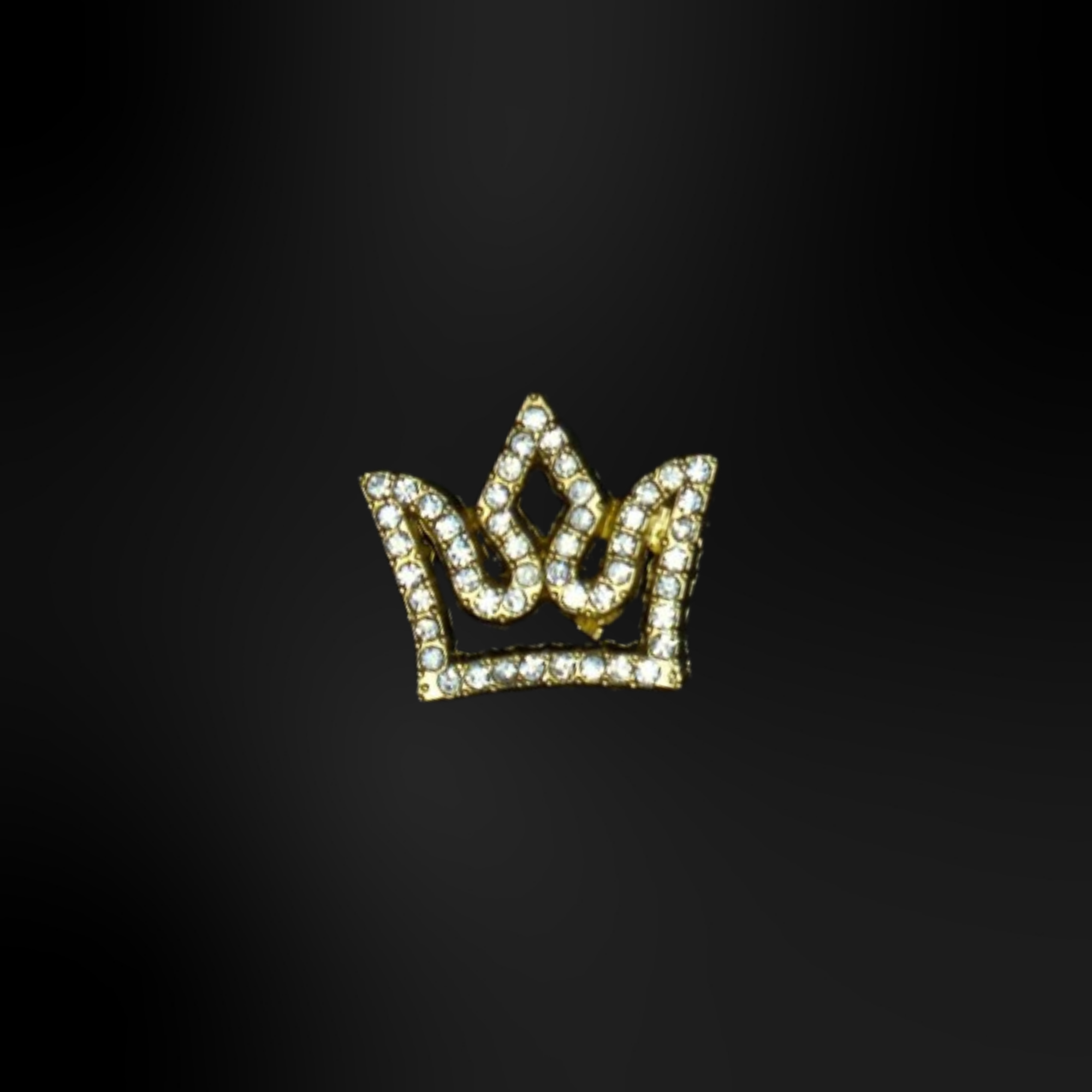 Pin's pour Clogs - Métalliques Or 2