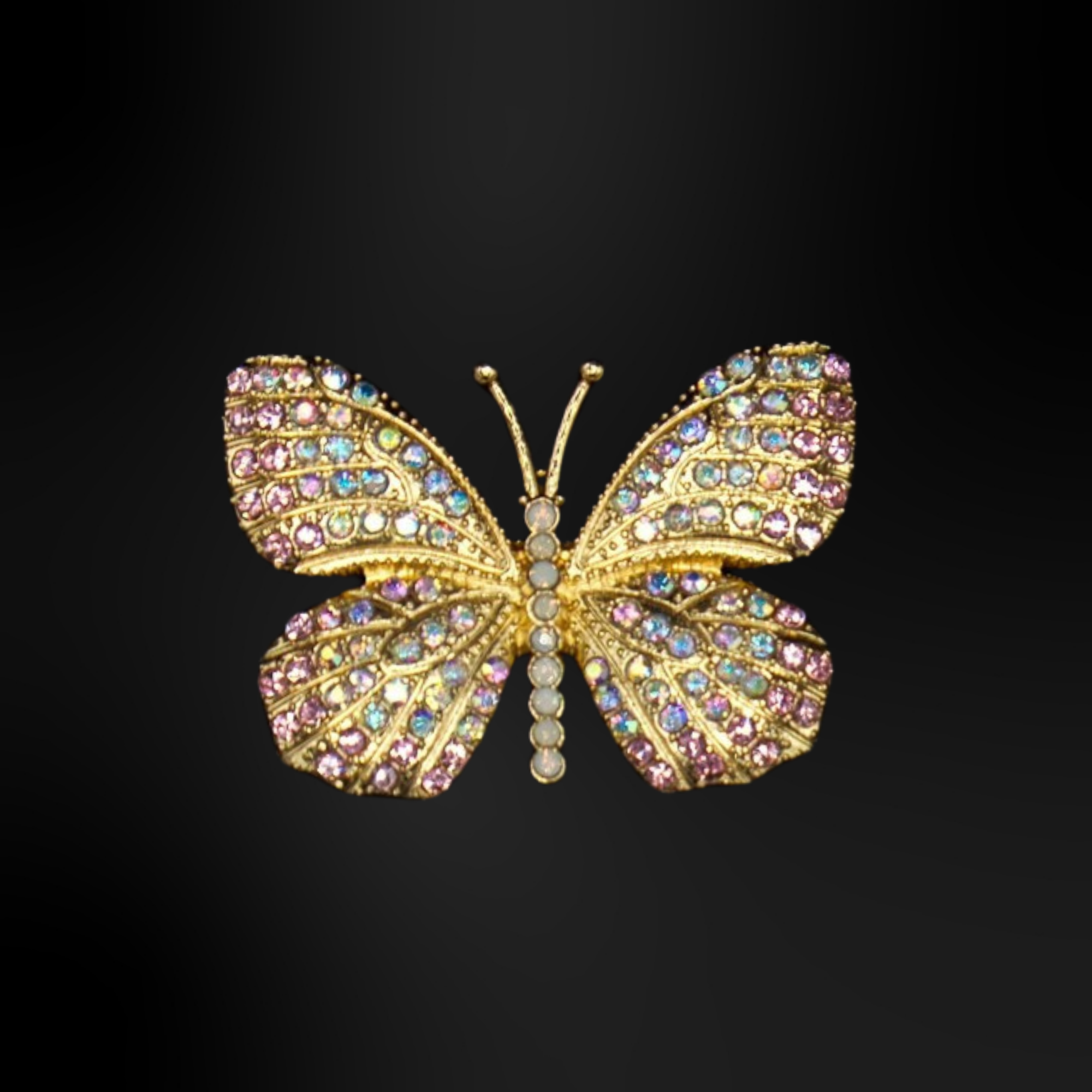 Pin's pour Clogs - Métalliques Or 2