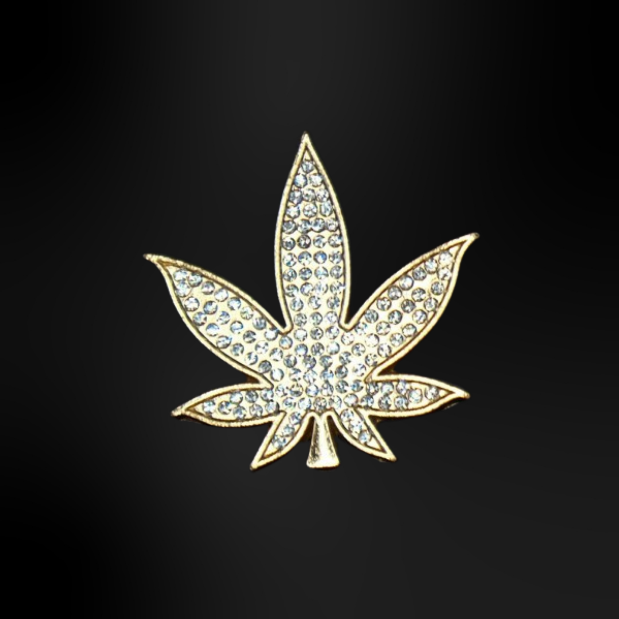 Pin's pour Clogs - Métalliques Or 2