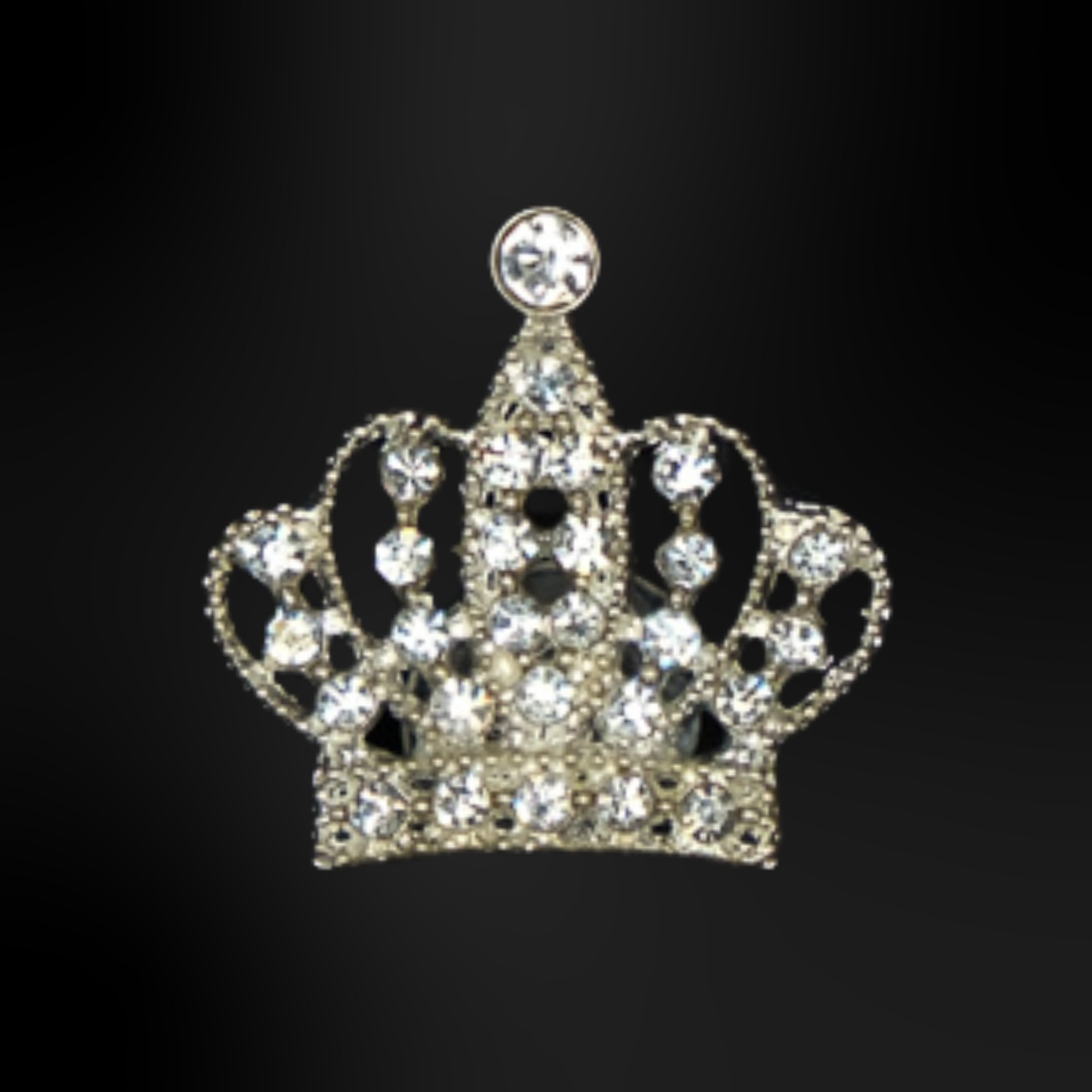 Pin's pour Clogs - Metalliques Argent