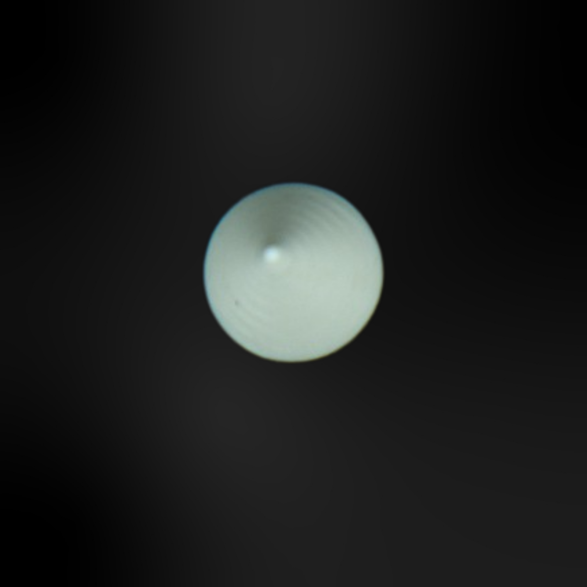 Pin's pour Clogs - Blancs